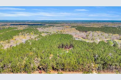 5200 Old River Road S, Brooklet, GA 30415 - Photo 48