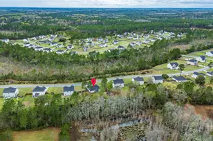 235 Owens St NE, Ludowici, GA 31316 - Photo 46
