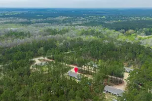 69 Babe Landon Ln, Fleming, GA 31309 - Photo 44