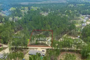 69 Babe Landon Ln, Fleming, GA 31309 - Photo 40