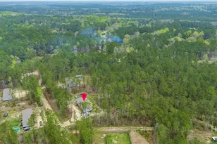 69 Babe Landon Ln, Fleming, GA 31309 - Photo 48