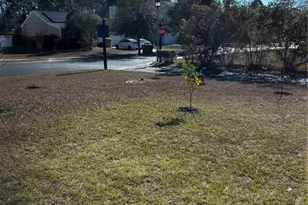 339 Hitching Post Ln, Pooler, GA 31322 - Photo 30