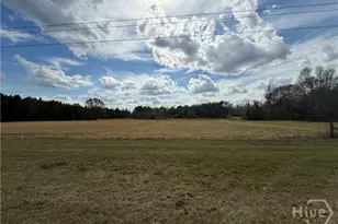 997 NE Darwel Long Rd, Ludowici, GA 31316 - Photo 4
