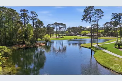5 Springpine Lane, Savannah, GA 31411 - Photo 50