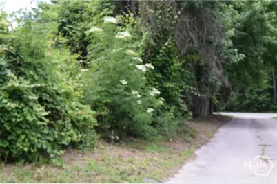 102 Trellis Way, Savannah, GA 31419 - Photo 30