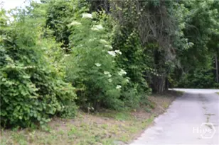 102 Trellis Way, Savannah, GA 31419 - Photo 30