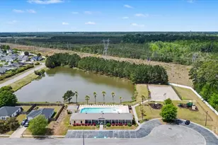 10 Valley Oak Dr, Richmond Hill, GA 31324 - Photo 40