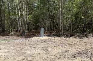 800 O F Lanier Rd, Pembroke, GA 31321 - Photo 24