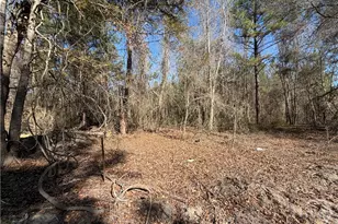 800 O F Lanier Rd, Pembroke, GA 31321 - Photo 20