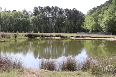 1650 Ebenezer Road, Rincon, GA 31326 - Photo 2