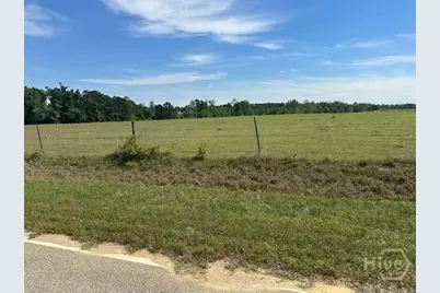 2905 Donald Cobb Road, Bartow, GA 30413 - Photo 8