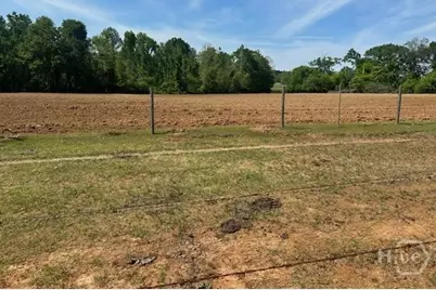 2905 Donald Cobb Road, Bartow, GA 30413 - Photo 1
