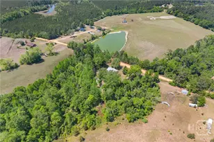 3347 Dickey Rd, Millen, GA 30442 - Photo 30