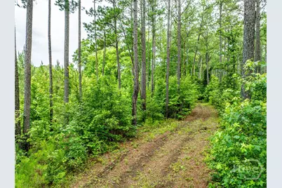 3385 Highway 83 S, Monticello, GA 31064 - Photo 56