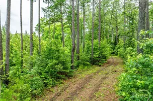 3385 Hwy 83 S, Monticello, GA 31064 - Photo 56