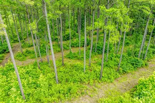 3385 Hwy 83 S, Monticello, GA 31064 - Photo 54