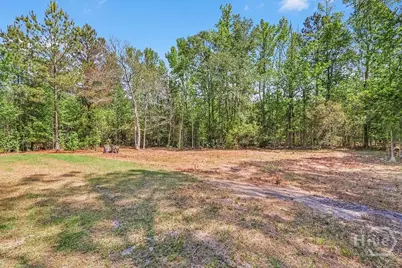 1319 Leefield Station Road, Brooklet, GA 30415 - Photo 46