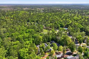 440 Ridgewood Park Dr S, Richmond Hill, GA 31324 - Photo 38