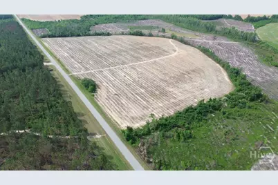 0 Bunn Store Road, Midville, GA 30441 - Photo 2