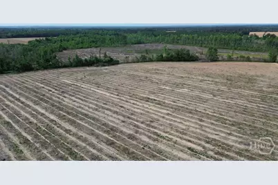 0 Bunn Store Road, Midville, GA 30441 - Photo 8