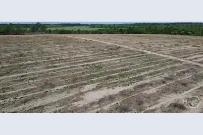 0 Bunn Store Road, Midville, GA 30441 - Photo 16