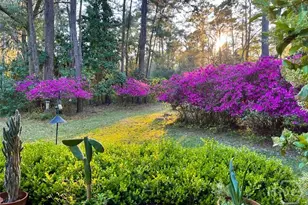 1 Treutlen Ln, Savannah, GA 31411 - Photo 34