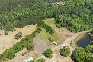 136 Wildwood Church Rd, Pembroke, GA 31321 - Photo 6