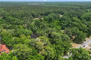 674 Dunlevie Rd, Allenhurst, GA 31301 - Photo 42