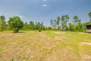 5349 NE George Swindell Rd, Ludowici, GA 31316 - Photo 34