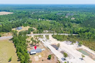 5349 NE George Swindell Rd, Ludowici, GA 31316 - Photo 40