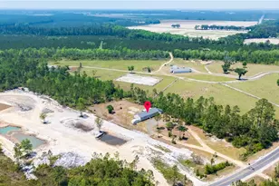 5349 NE George Swindell Rd, Ludowici, GA 31316 - Photo 38