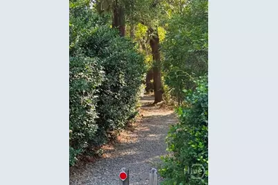 119 N Marsh Road, Savannah, GA 31410 - Photo 60