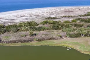 40 Captains View, Tybee Island, GA 31328 - Photo 44