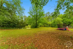 4221 Ga Hwy 119 Hwy N, Clyo, GA 31303 - Photo 58