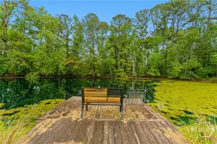 4221 Ga Hwy 119 Hwy N, Clyo, GA 31303 - Photo 56