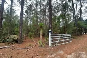 3115 Deer Run Rd, Statesboro, GA 30461 - Photo 16