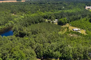 443 Reiser Rd, Springfield, GA 31329 - Photo 46