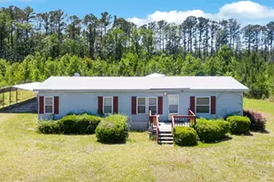 443 Reiser Rd, Springfield, GA 31329 - Photo 64