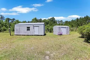 443 Reiser Rd, Springfield, GA 31329 - Photo 66