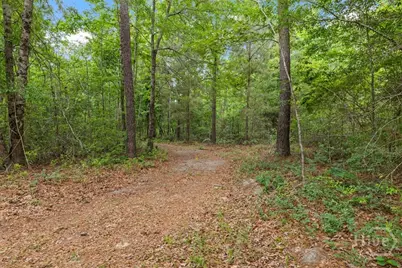 373 Chuck Ellis Road, Portal, GA 30450 - Photo 50