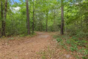 373 Chuck Ellis Rd, Portal, GA 30450 - Photo 50
