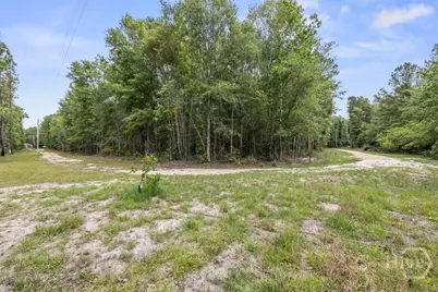373 Chuck Ellis Road, Portal, GA 30450 - Photo 28