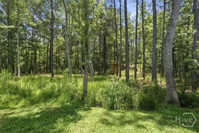 19 Serenity Point, Savannah, GA 31419 - Photo 46