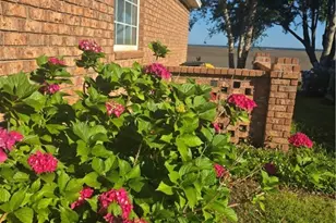 707 Marshview Dr, Richmond Hill, GA 31324 - Photo 36