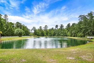 25 Spoonbill Drive, Richmond Hill, GA 31324 - Photo 58