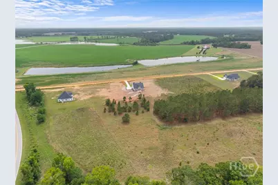 3167 Jason Franklin, Register, GA 30452 - Photo 44