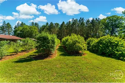 4236 S Newton Road, Millen, GA  - Photo 72