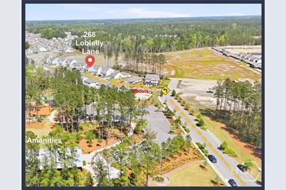 268 Loblolly Lane, Richmond Hill, GA 31324 - Photo 2