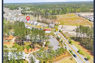 268 Loblolly Ln, Richmond Hill, GA 31324 - Photo 2
