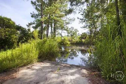 1216 Mill Hill Road, Richmond Hill, GA 31324 - Photo 70